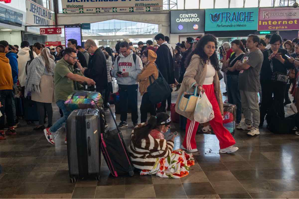 caida-el-mencho-cjng-bloqueos-violencia-animal-político-6