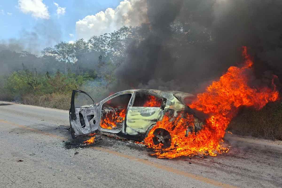 caida-el-mencho-cjng-bloqueos-violencia-animal-político-1