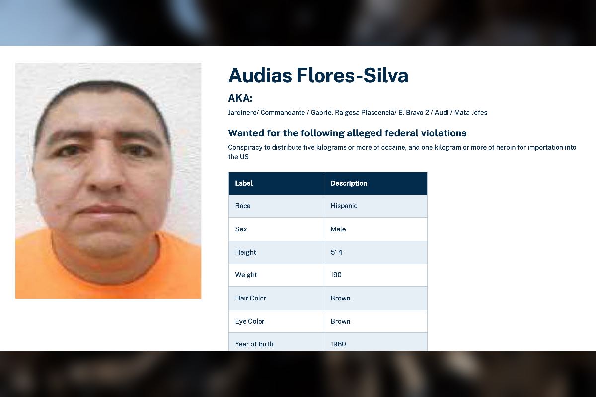 caida-el-mencho-presion-eu-cjng-animal-politico-7