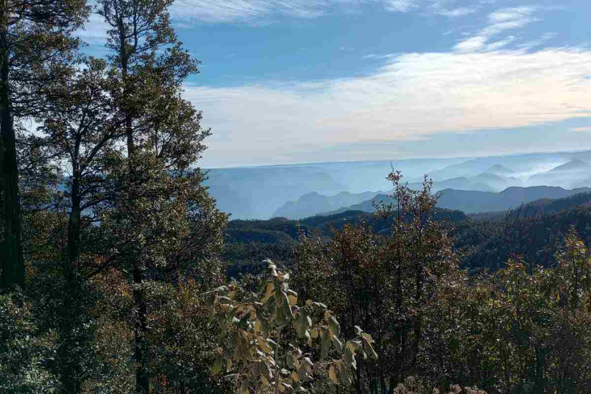 chihuahua-crimen-organizado-desplaza-comunidades-indigenas-mineria-tala-ilegales-mexico