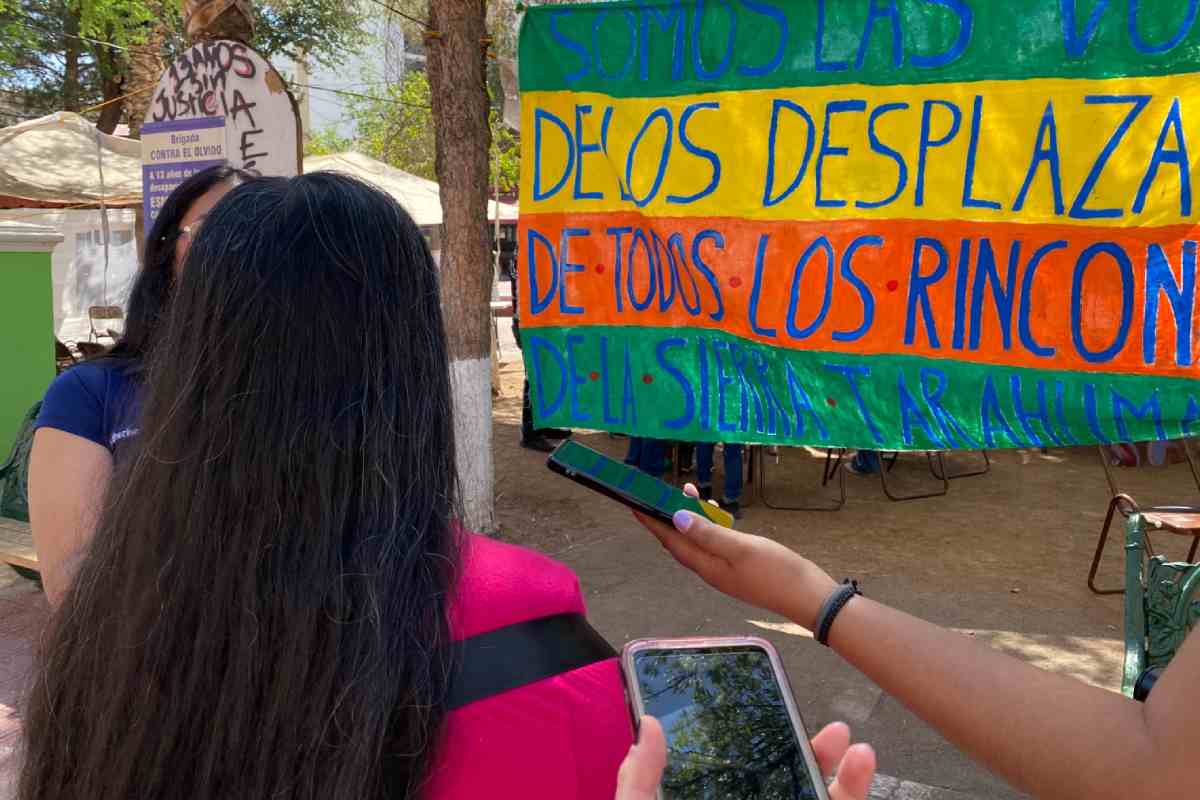 chihuahua-crimen-organizado-desplaza-comunidades-indigenas-mineria-tala-ilegales-mx