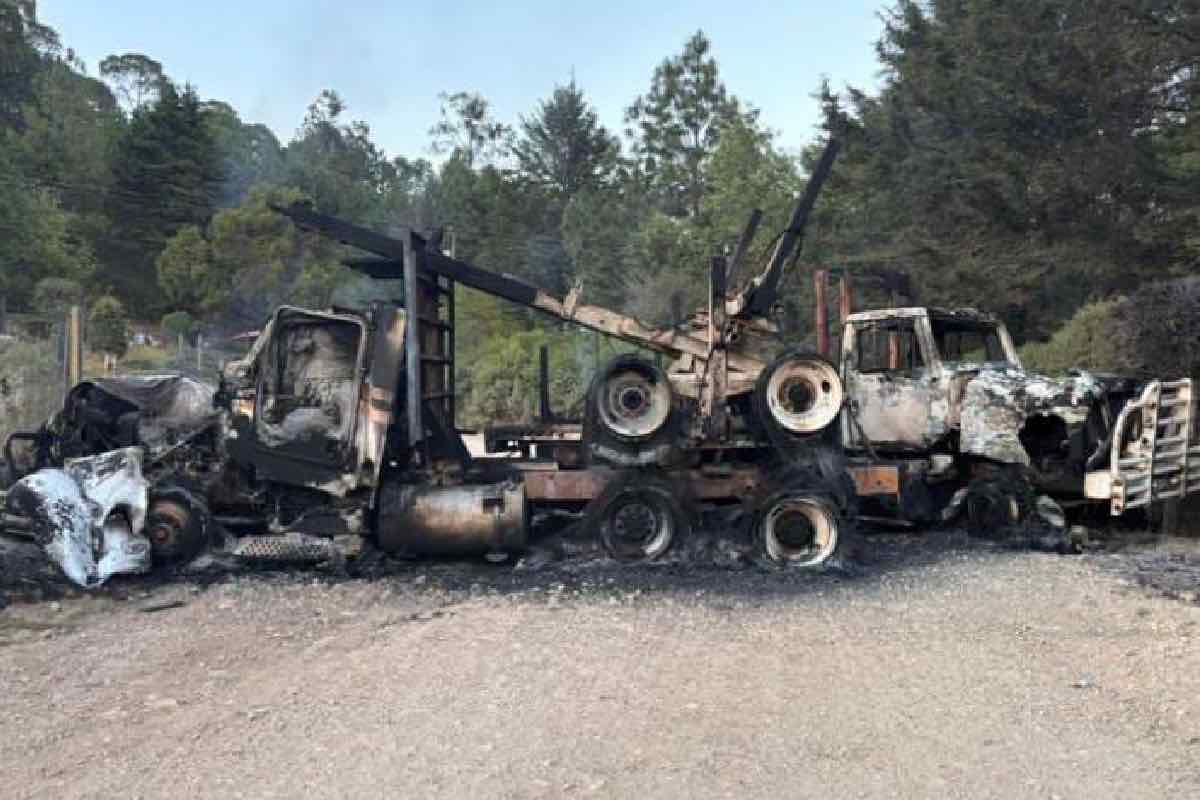 cjng-pueblo-el-mencho-jalisco-animal-politico-3