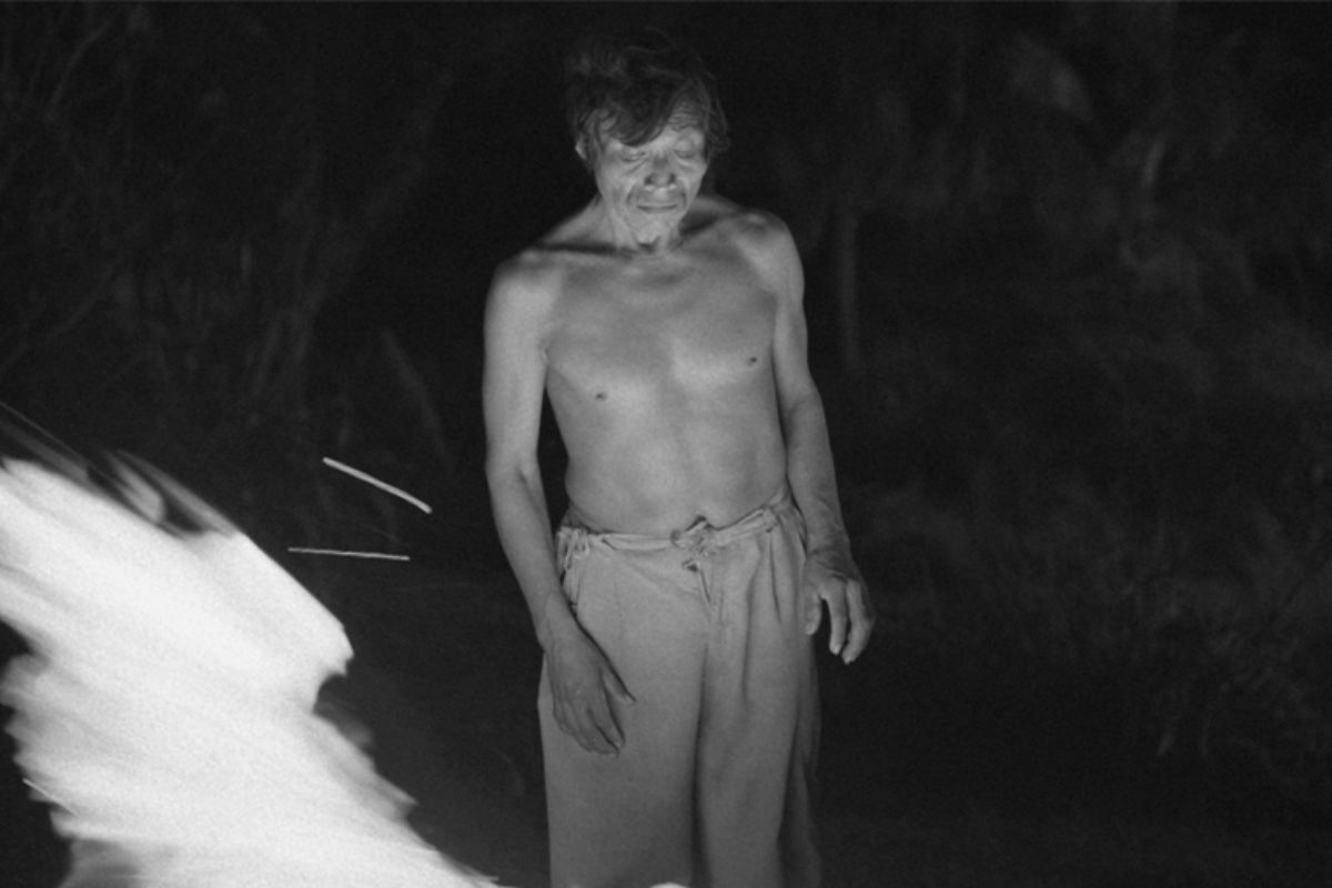 cosmos germinal roaux Andrés katzin