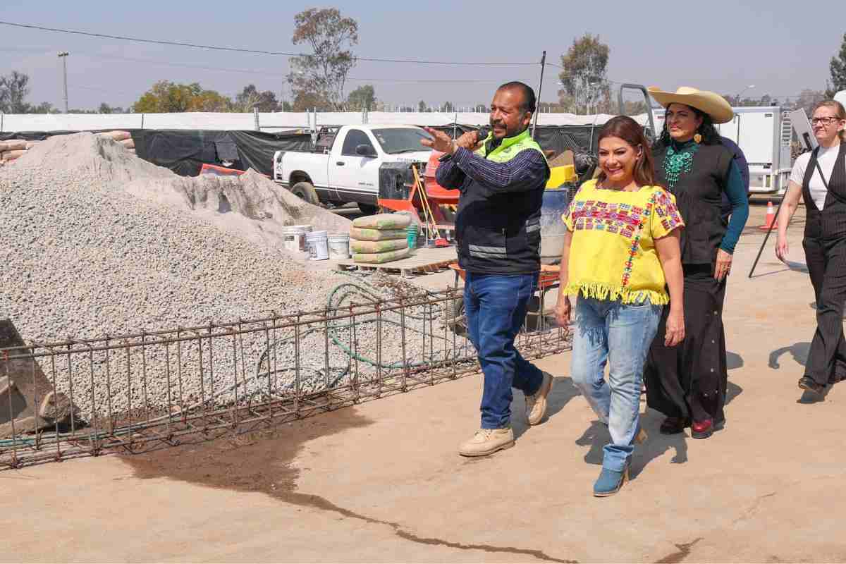 cuemanco-rehabilitación-santuario-ajolote