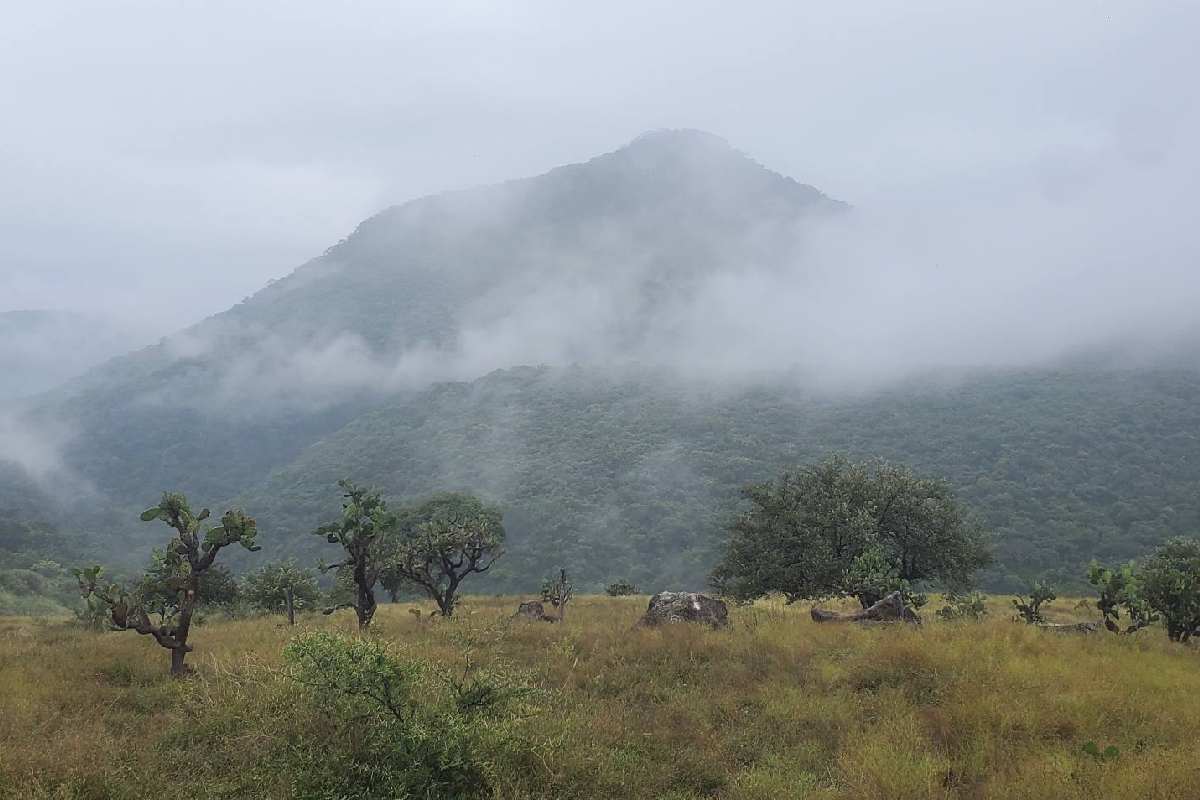 Proteger la tierra como las ancestras: defensoras en Morelos luchan por la cancelación de mina que contaminaría su comunidad