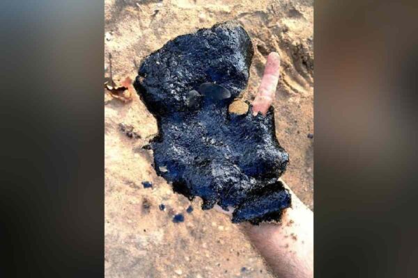 Venezuela: Delcy Rodríguez propone profundizar el extractivismo y no da señales de una política de protección ambiental