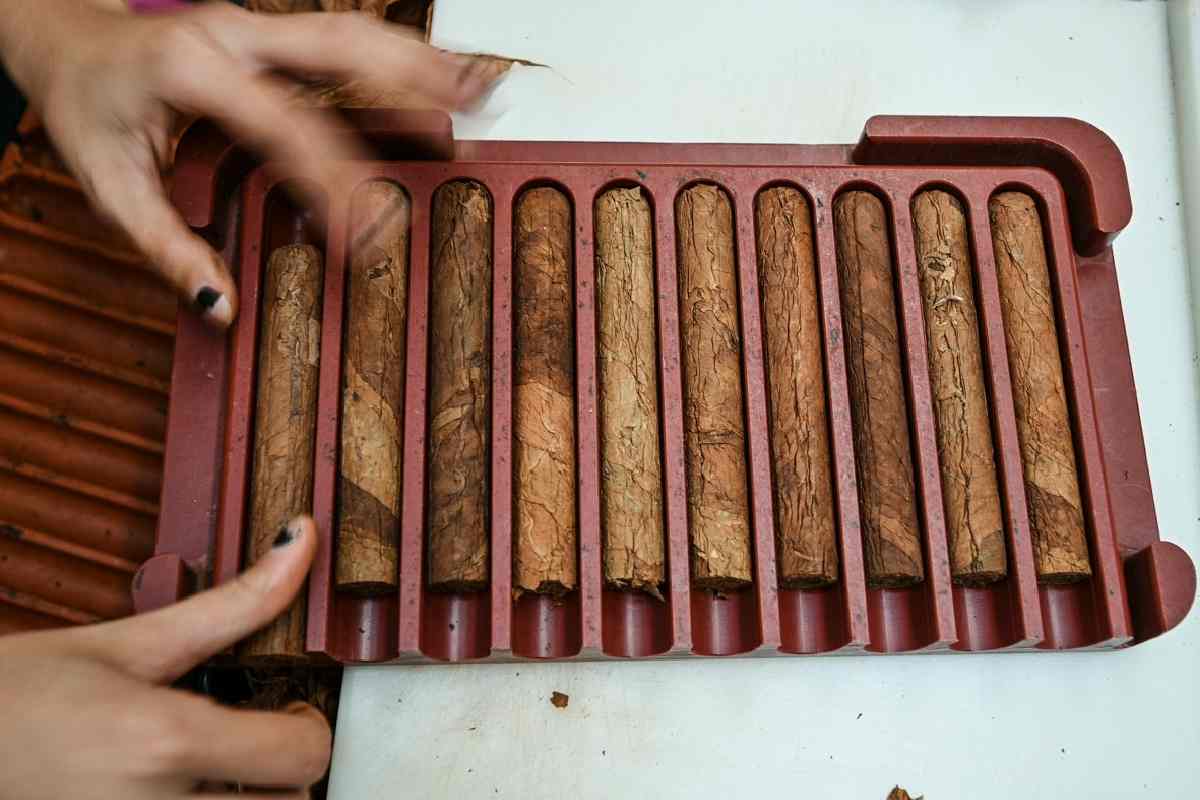 Médicos, turismo, tabaco: los ingresos en divisas de Cuba en la mira de EU