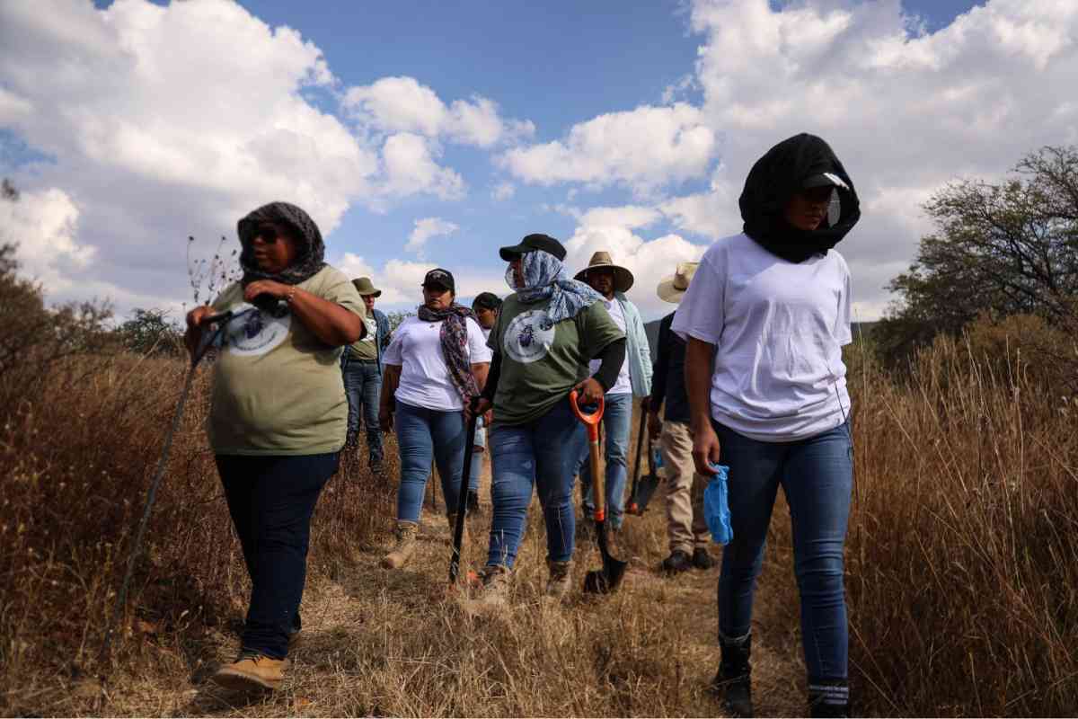 exigen-buscadoras-transparencia-a-la-fiscalia-tras-hallazgo-el-verde-concordia