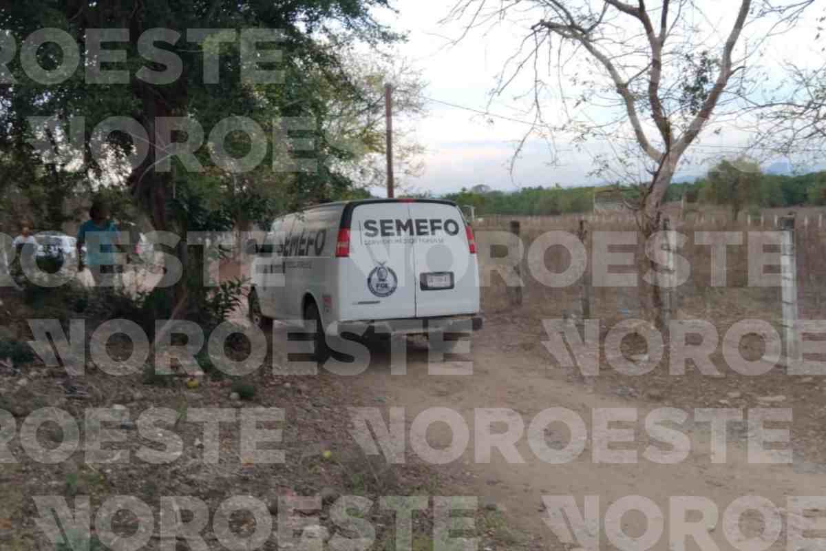 fosa clandestina el verde concordia sinaloa