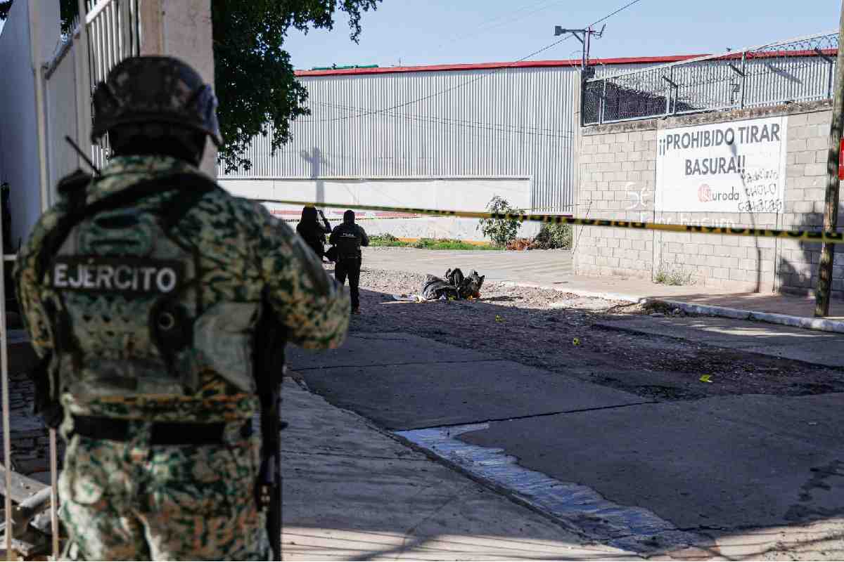Gobierno federal reporta caída de 50% en homicidios y más de 2 mil 200 detenciones de alto impacto en Sinaloa