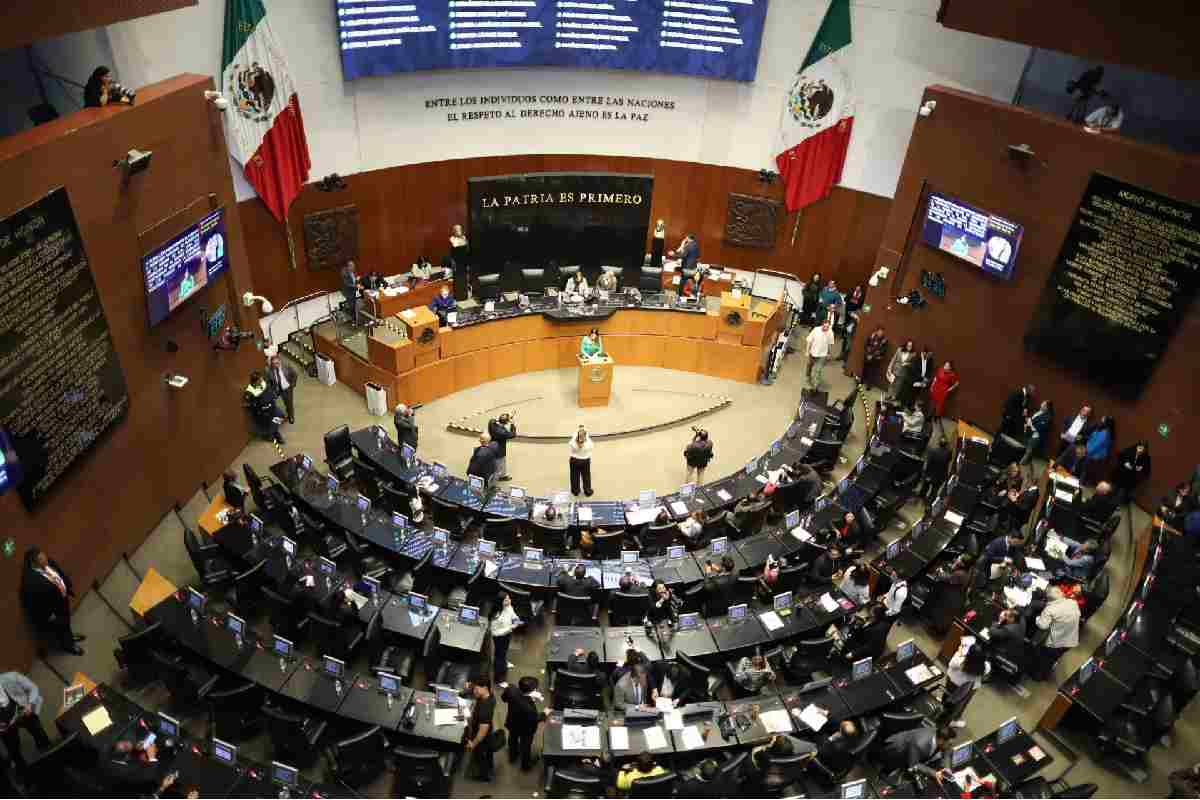 Especialistas reiteran rechazo a “jueces sin rostro”; Senado delinea su regulación