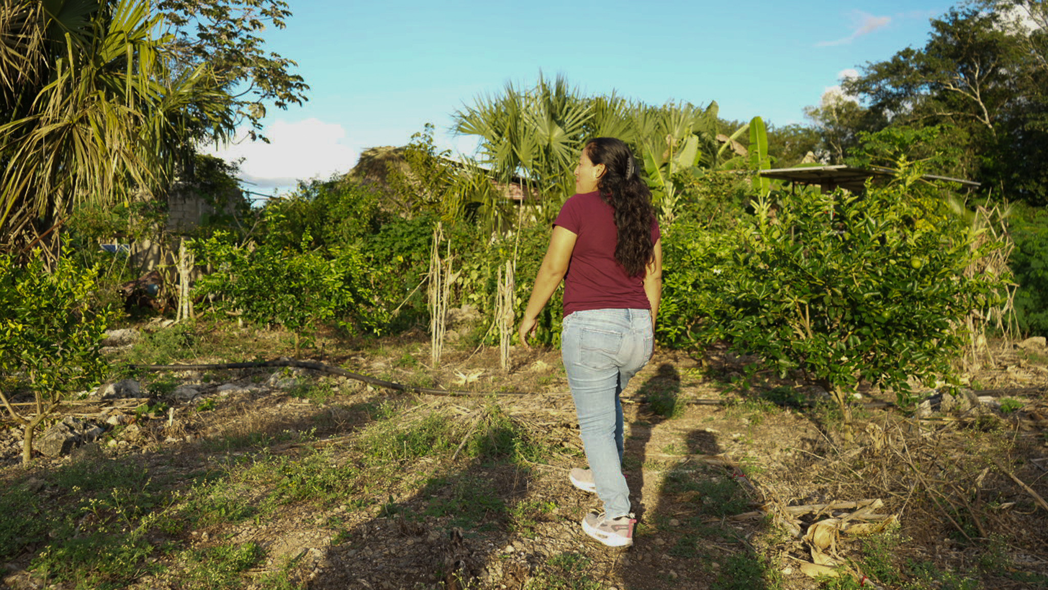 De acuerdo con el Registro Agrario Nacional (RAN), sólo el 27 % de las personas con derechos agrarios formales son mujeres, lo que evidencia una desigualdad persistente en el acceso legal a la tierra.