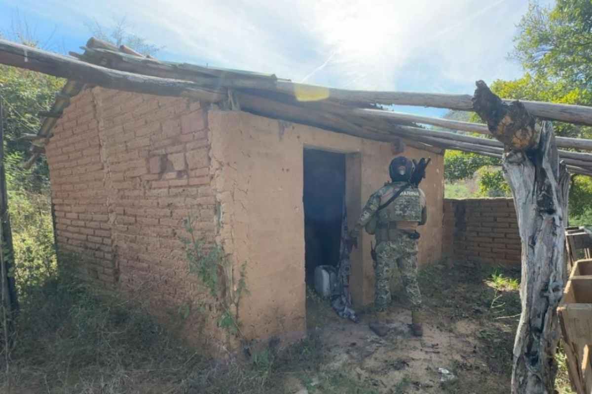 narcocampamentos concordia sinaloa mineros