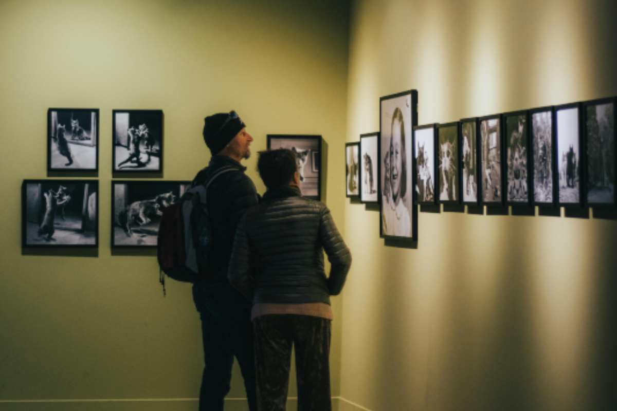 Noche de Museos Febrero