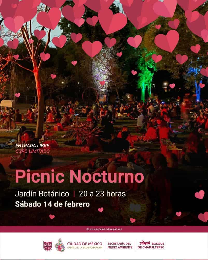picnic nocturno 14 de febrero chapultepec