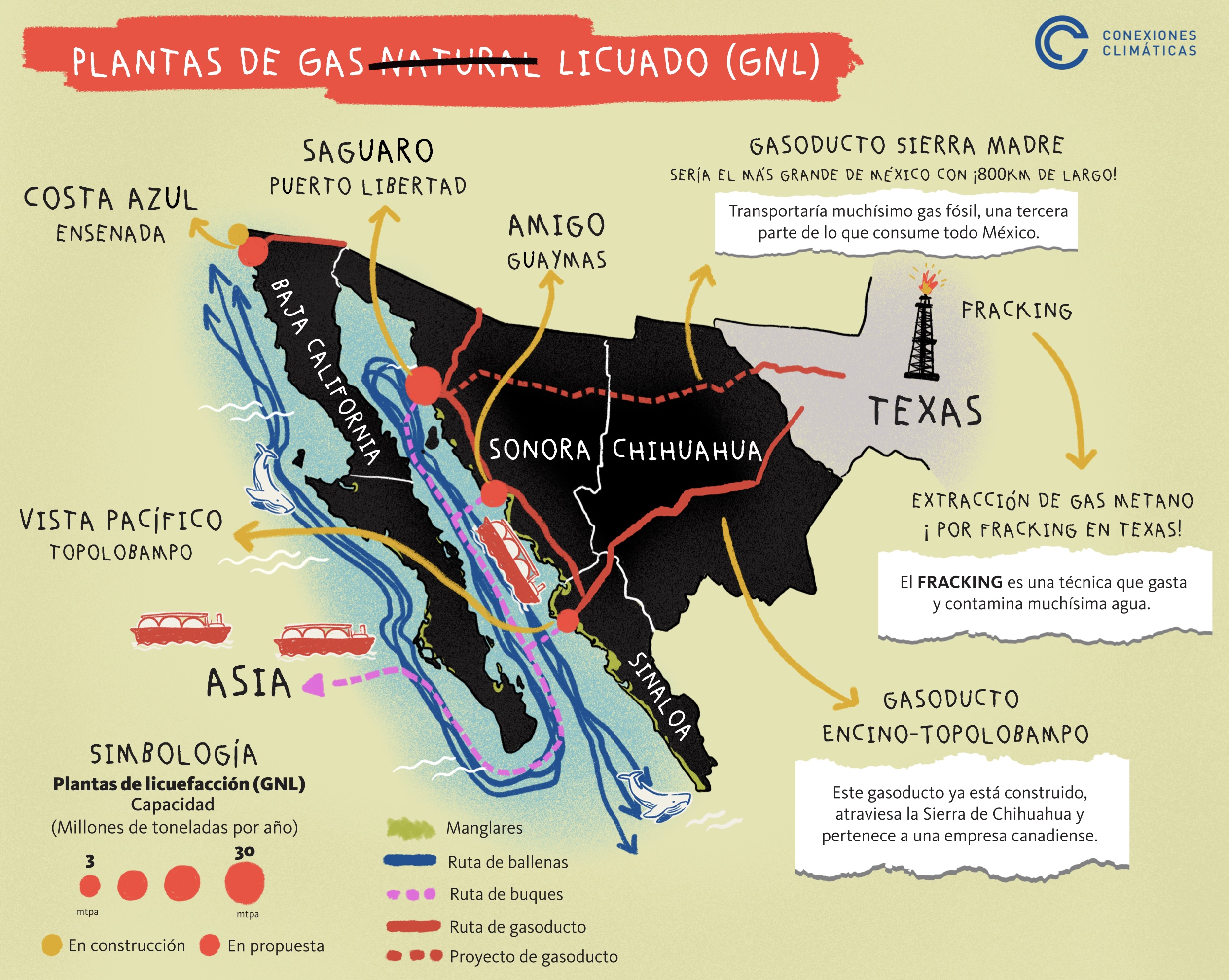 Planta de gas natural licuado AMIGO GNL