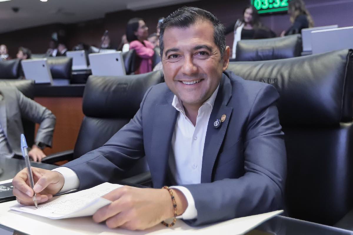 reforma-electoral-luis-alfonso-silva-animal-político-1