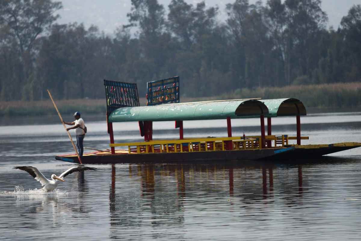 rehabilitacion-cuemanco-xochimilco-cdmx