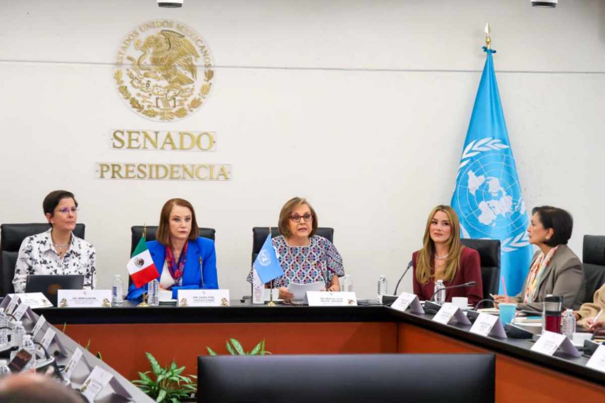 relatora ONU violencia género