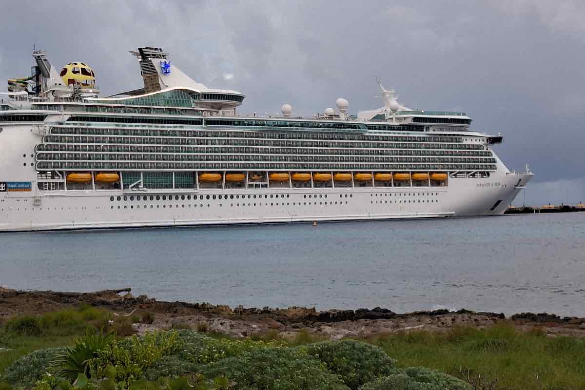 royal-caribbean-perfect-day-quintana-roo-animal-politico-8
