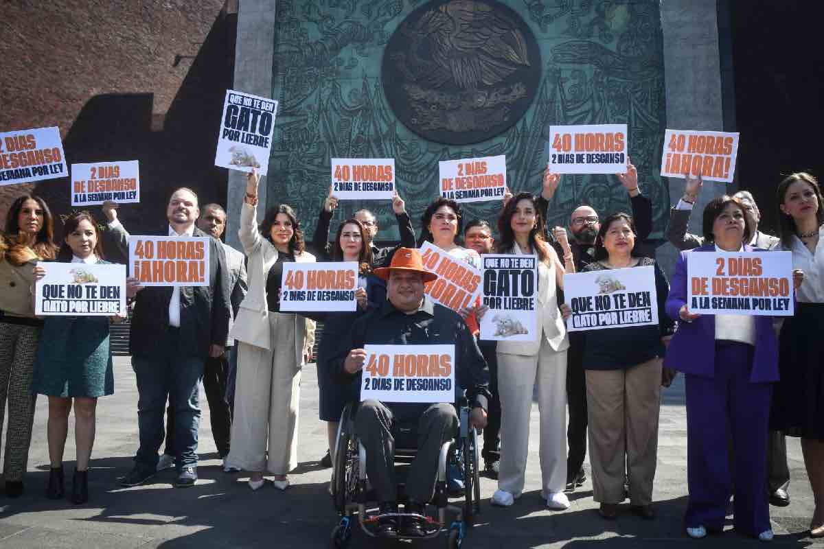 senado-reforma-jornada-trabajo-animal-politico-9