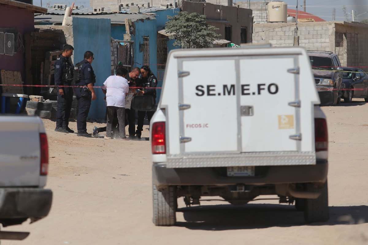 sheinbaum-primer-ano-delitos-aumentaron-amlo 5