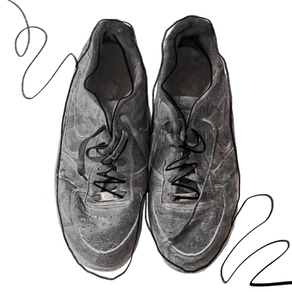 portada-animal-político