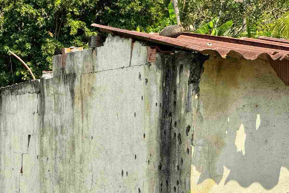 coahuayana-coche-bomba-narco-animal-politico-5