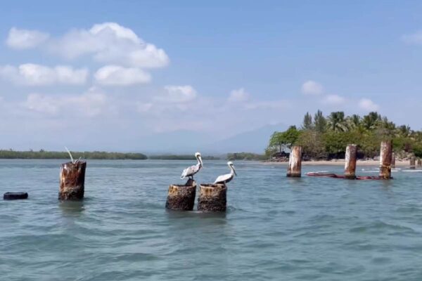 Cierran playas de Pajapan, Veracruz, por derrame de hidrocarburos; Pemex se deslinda