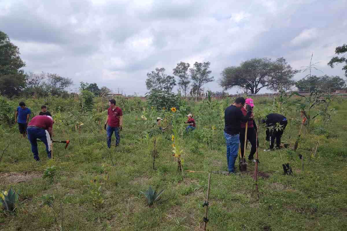En medio de la violencia tras la muerte de “El Mencho”, destruyen vehículo y equipo de defensores del territorio de El Salto