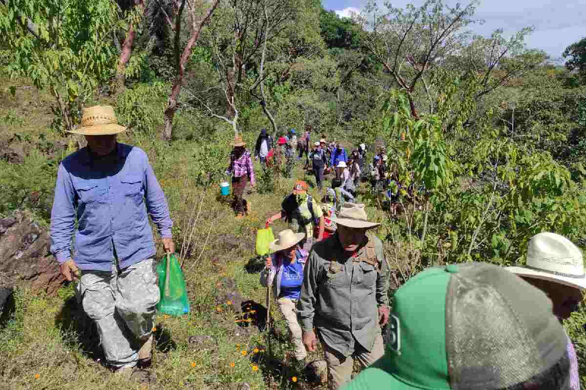 En medio de la violencia tras la muerte de “El Mencho”, destruyen vehículo y equipo de defensores del territorio de El Salto