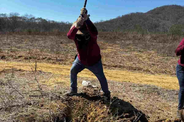 Buscadoras hallan una fosa clandestina más en la comunidad de El Verde, en Concordia, Sinaloa