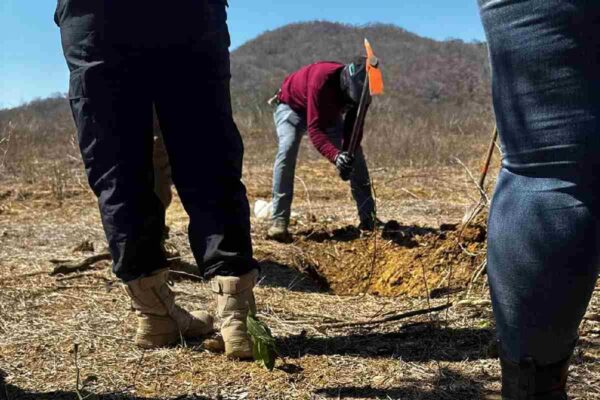Buscadoras hallan una fosa clandestina más en la comunidad de El Verde, en Concordia, Sinaloa