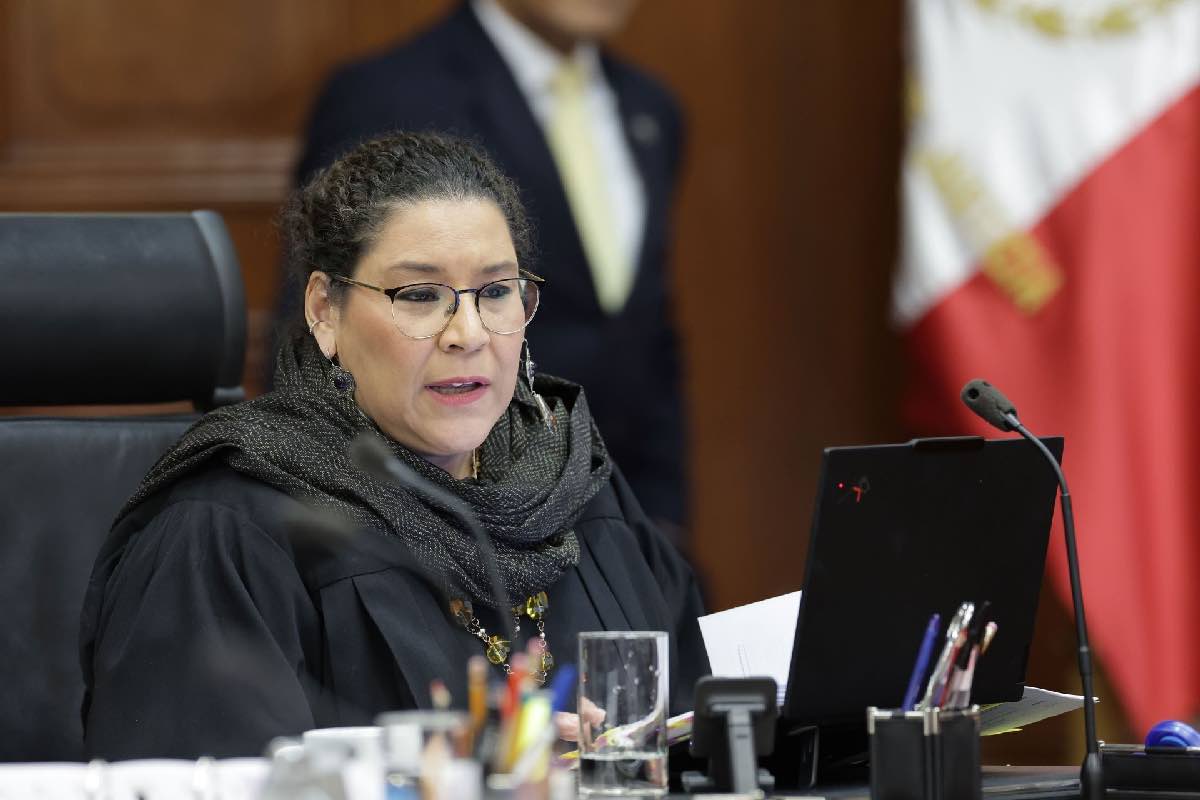 scjn-primeros-seis-meses-iniciativas-protestas-animal-politico-5