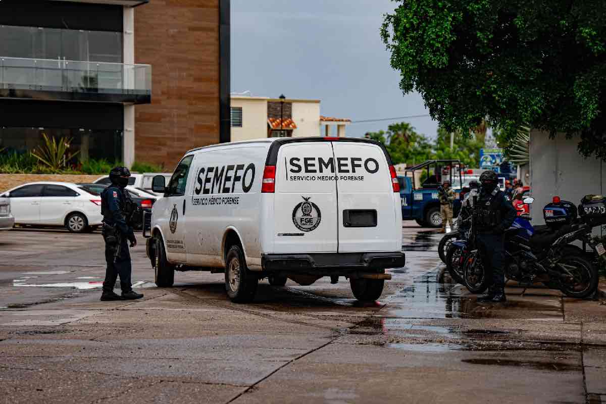 sheinbaum-cambia-metodologia-conteo-delitos-animal-politico-7